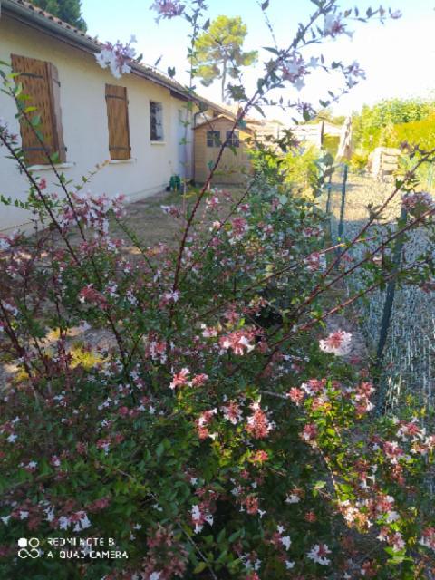גוז'אן-מסטרה Villa Nancea Maison Arcachon מראה חיצוני תמונה